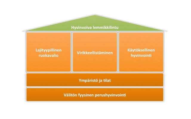 Mitä on papukaijan hyvinvointi?