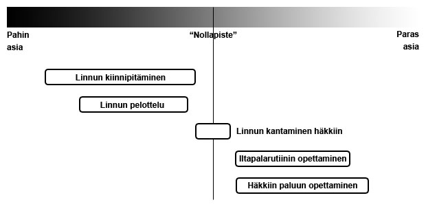 Papukaijan kouluttamisen värit