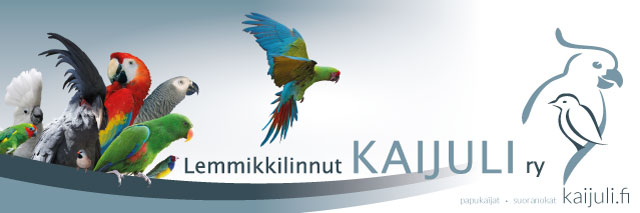 Lemmikkilinnut Kaijuli ry